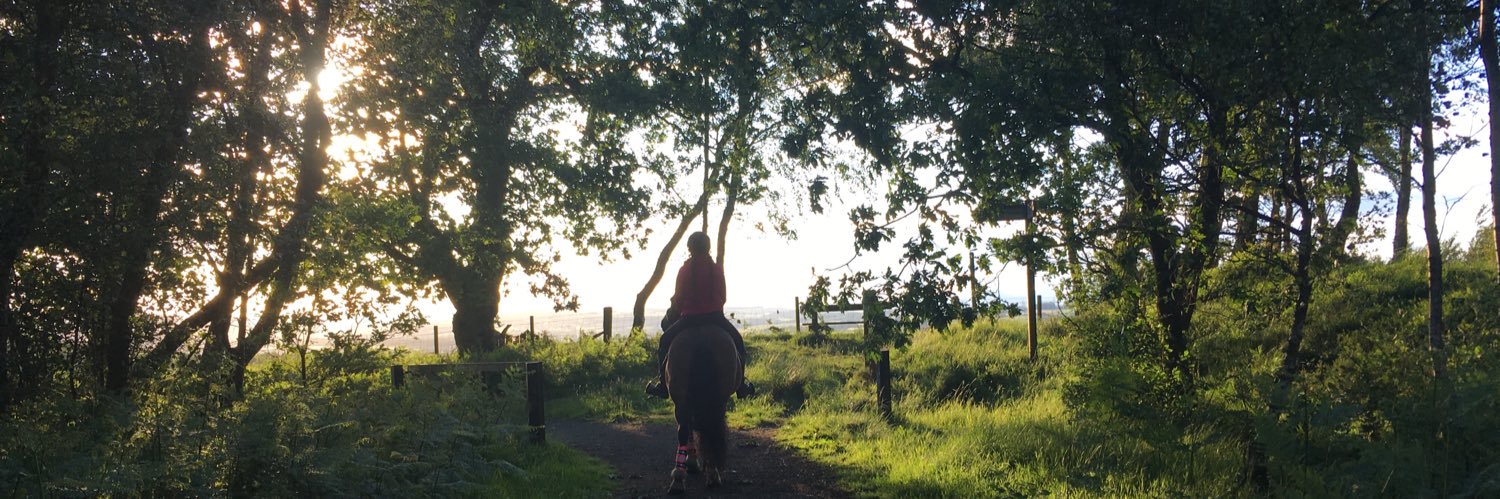 Victoria Young banner