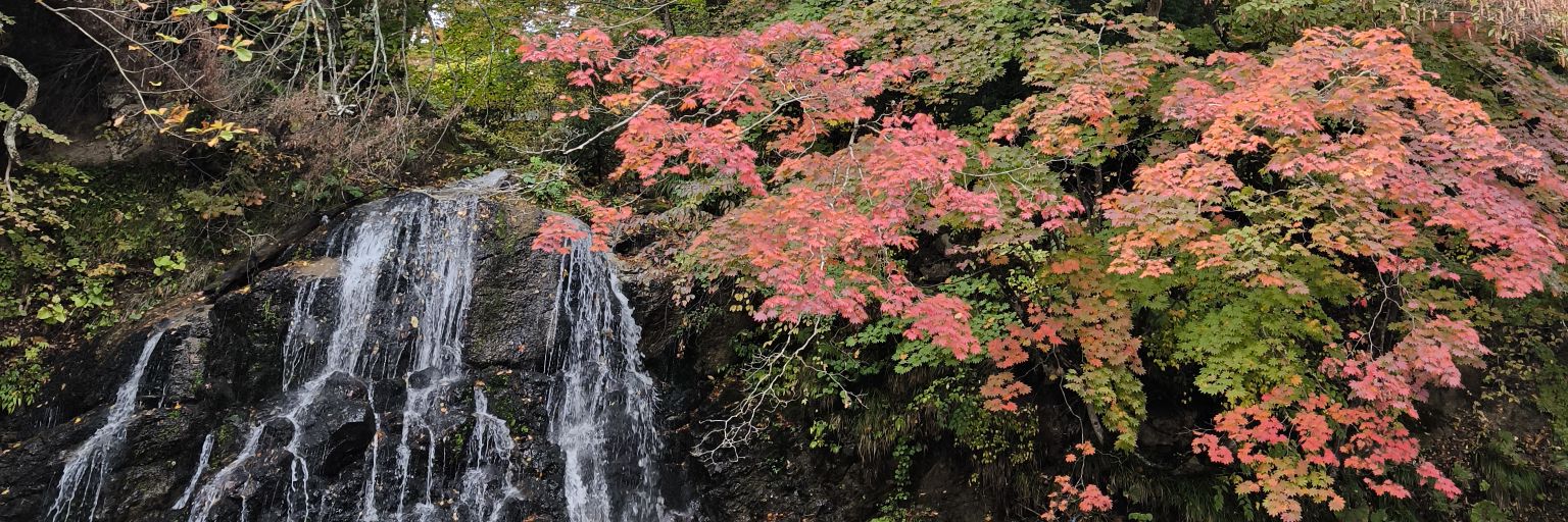 レジェンド・オブ_CanaryWolf💙 banner