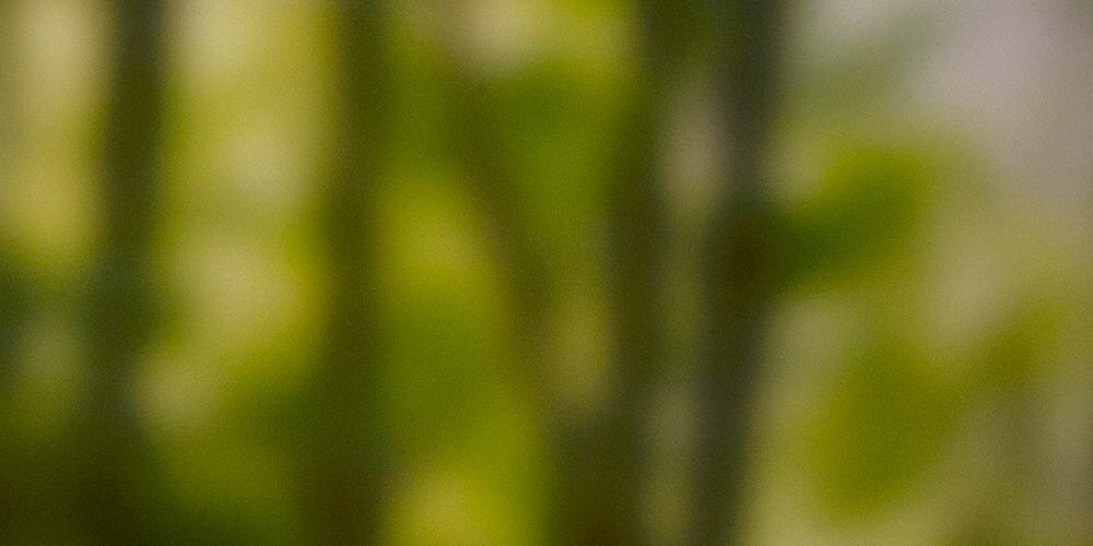 GBPreserves's profile banner image