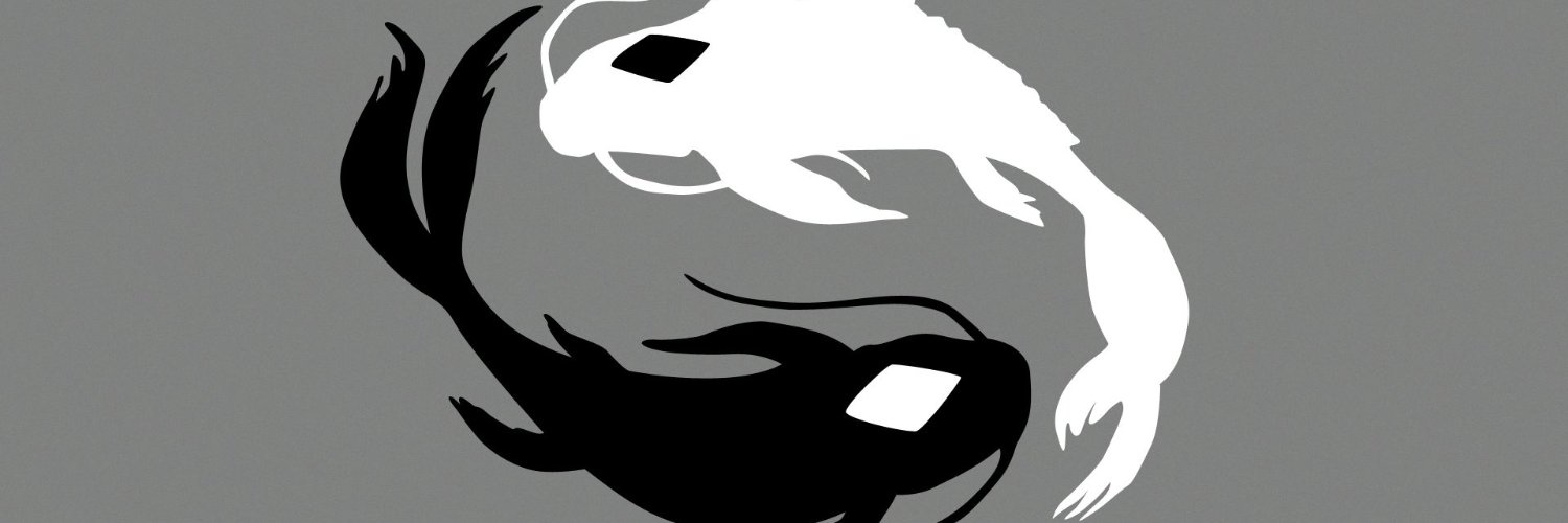holafidel9's profile banner image