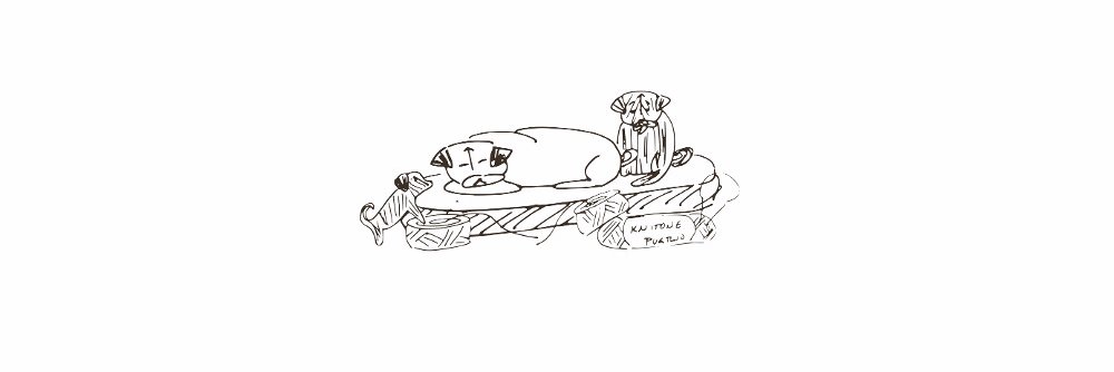 knitonepugtwo's profile banner image