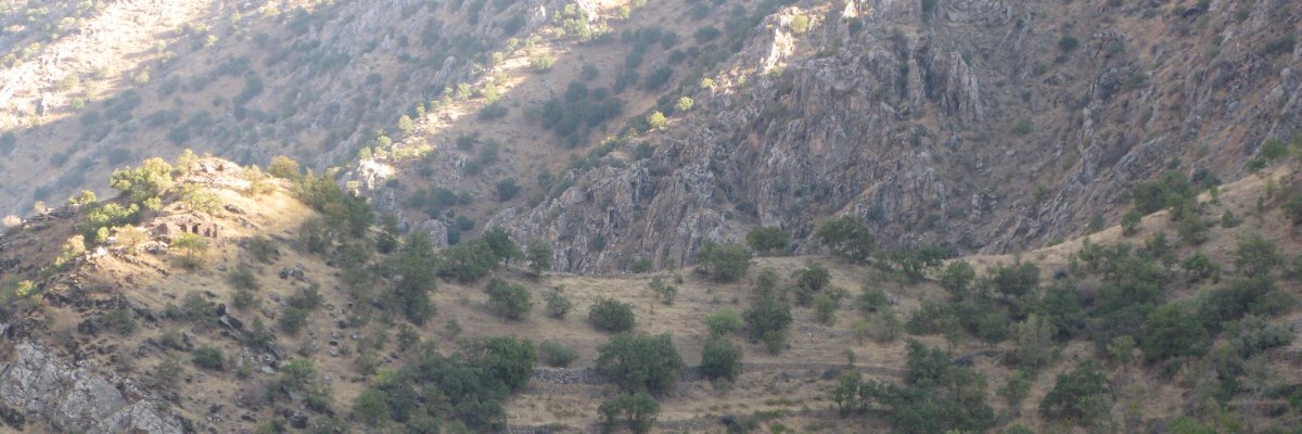 ragheb1342's profile banner image