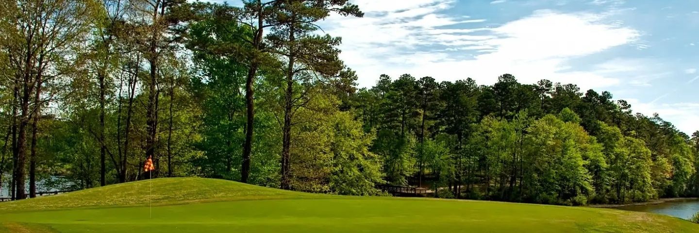 Paulo Muniz banner