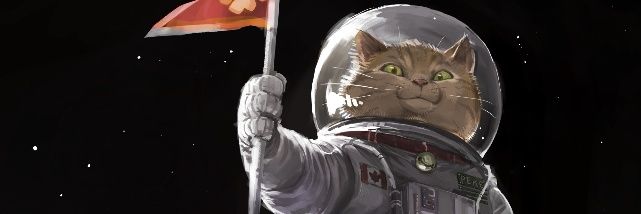 pirottola's profile banner image