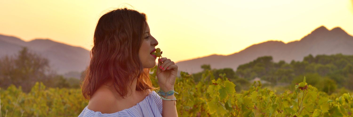 rociorisquez's profile banner image