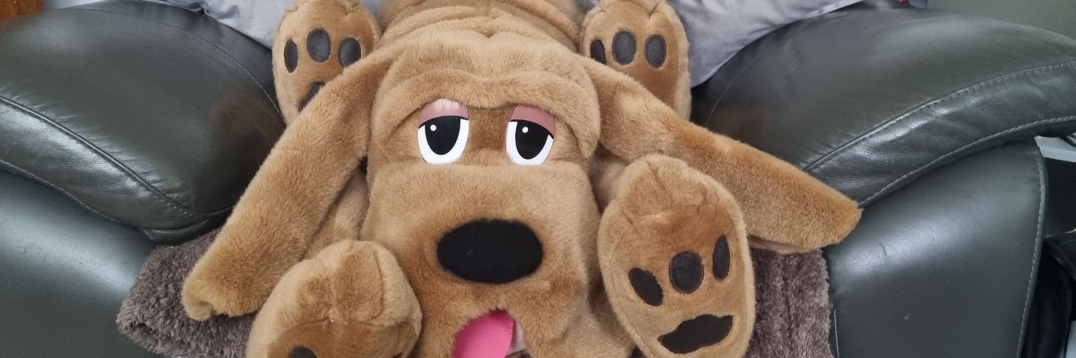 davertownsley's profile banner image