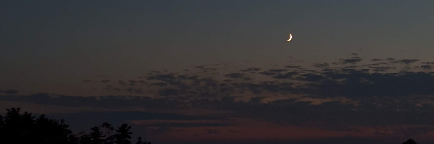 lyndseylca's profile banner image