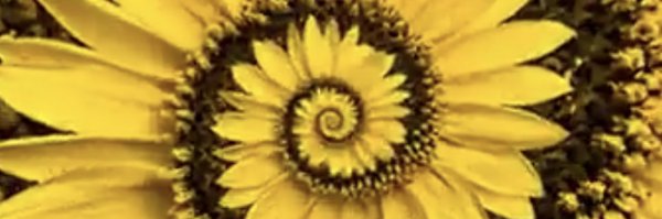 justiceDriver1 Profile Banner