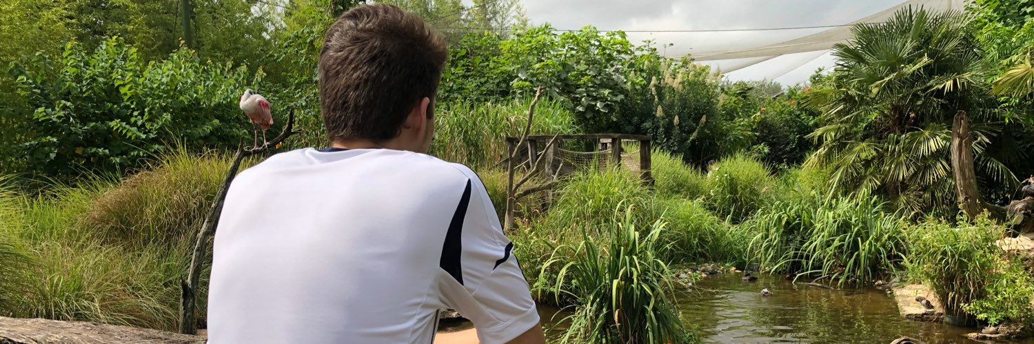AxelNicotHoward's profile banner image
