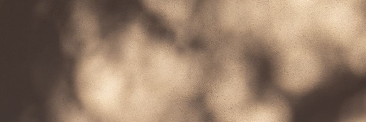 Carlos Lizardo banner