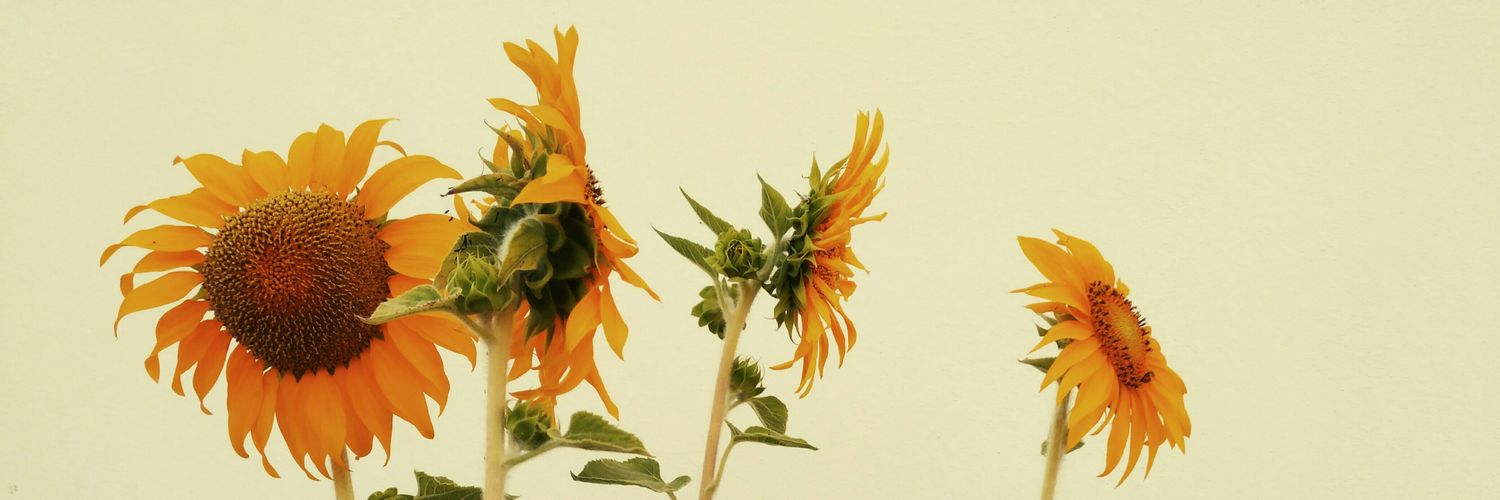 Pattriice's profile banner image