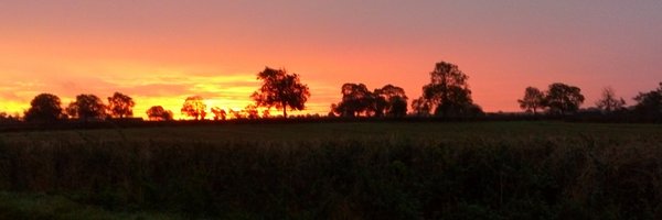 mikejelfs Profile Banner