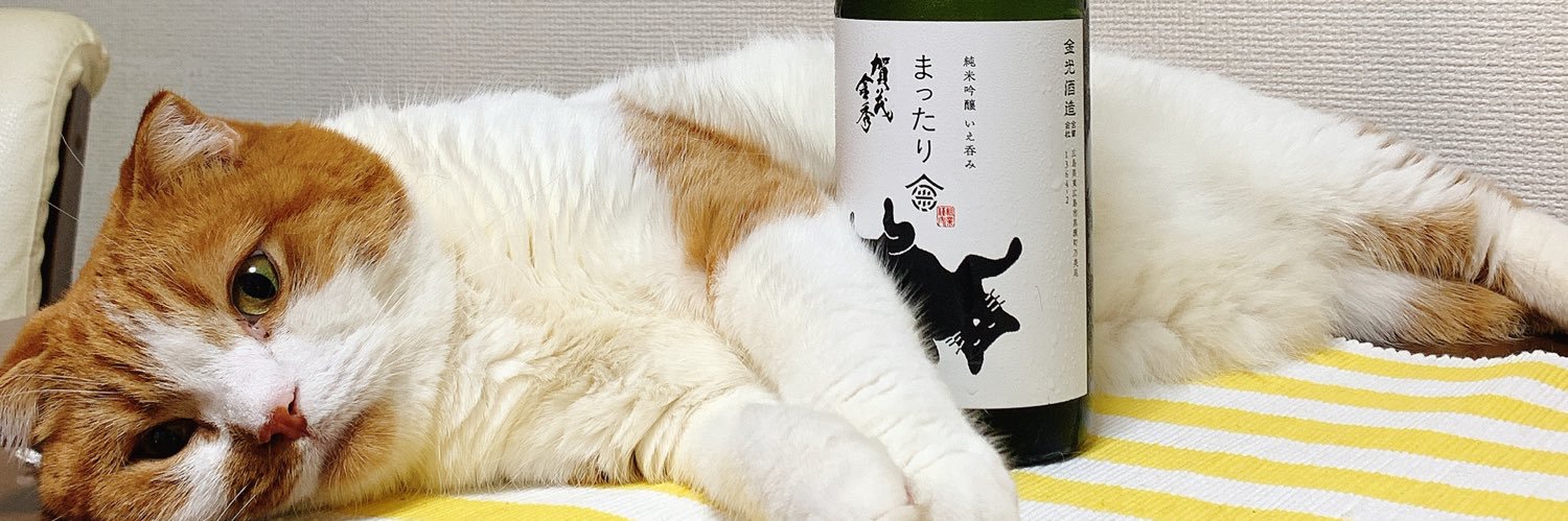 シーナ🐾 banner