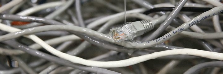 Faith Holland banner