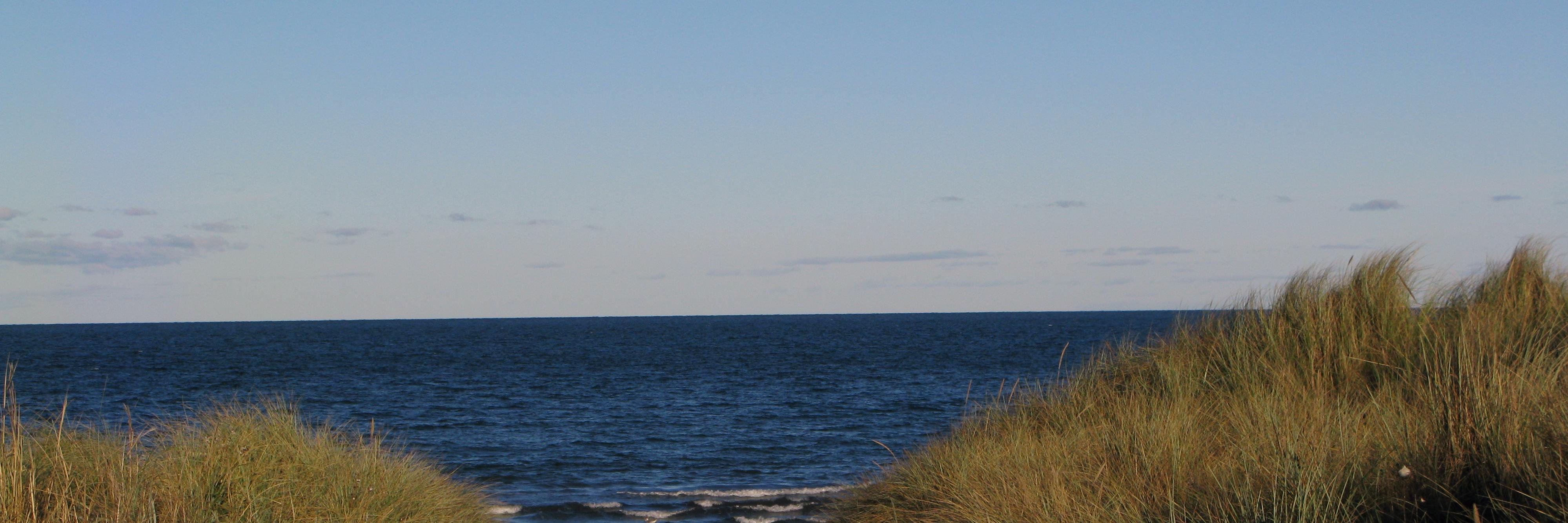 Sascha banner