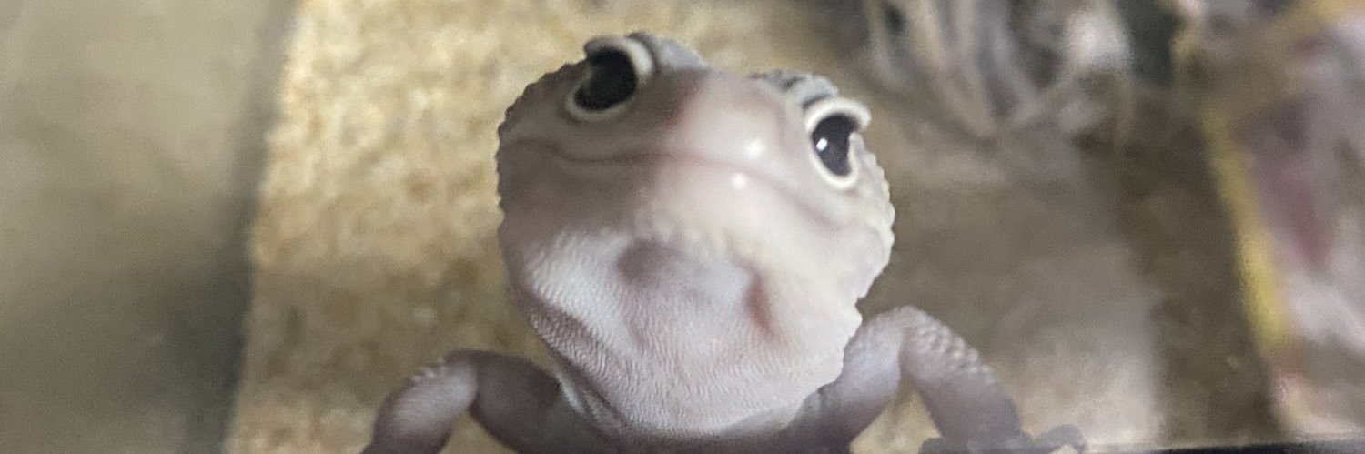 ydtern8's profile banner image