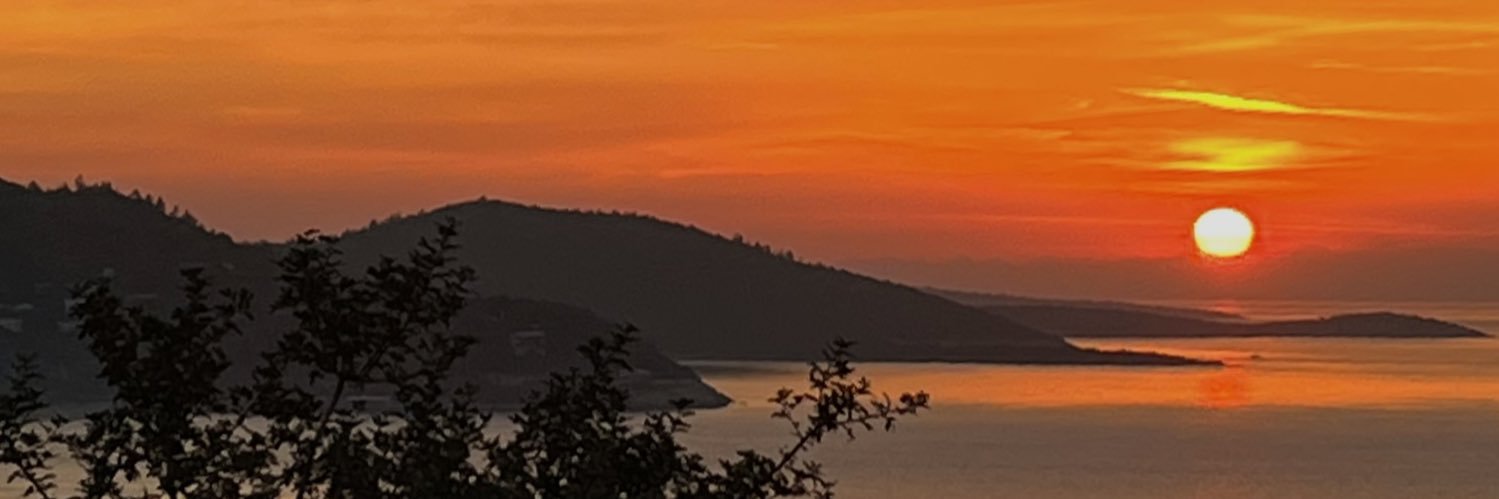 NEDİM TÜRKMEN banner