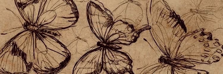 Cheïneze 🧚‍♀️ banner