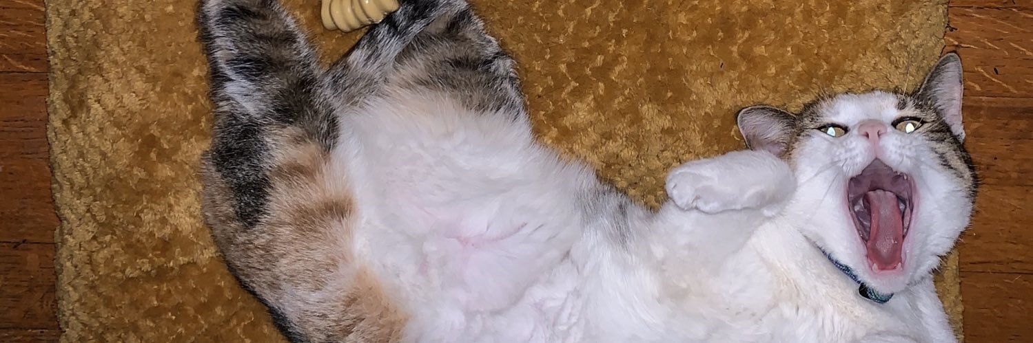 watermelonfrank's profile banner image