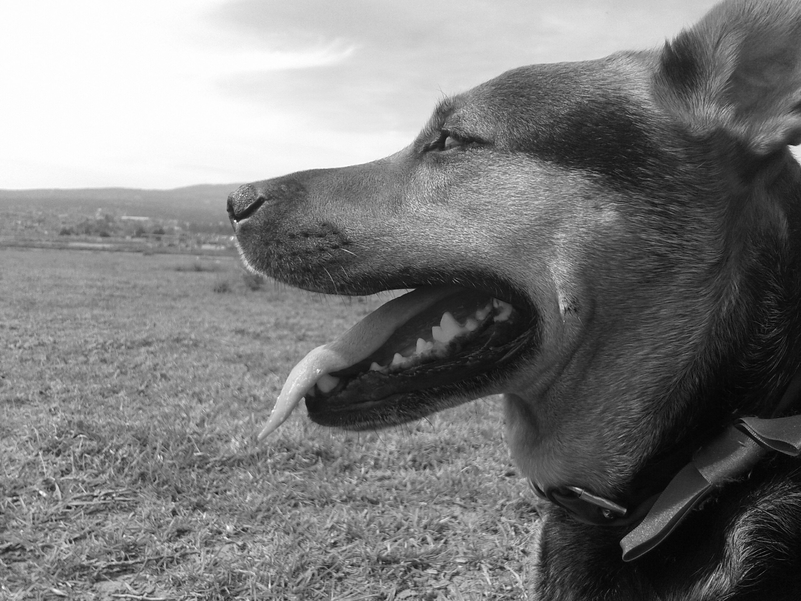landohb's profile banner image
