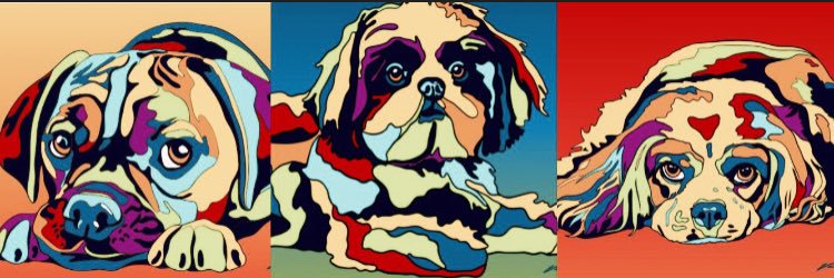 multicolor_dog's profile banner image