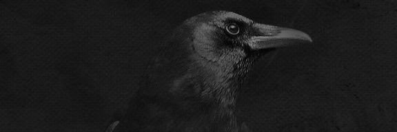 binalikeskin96's profile banner image