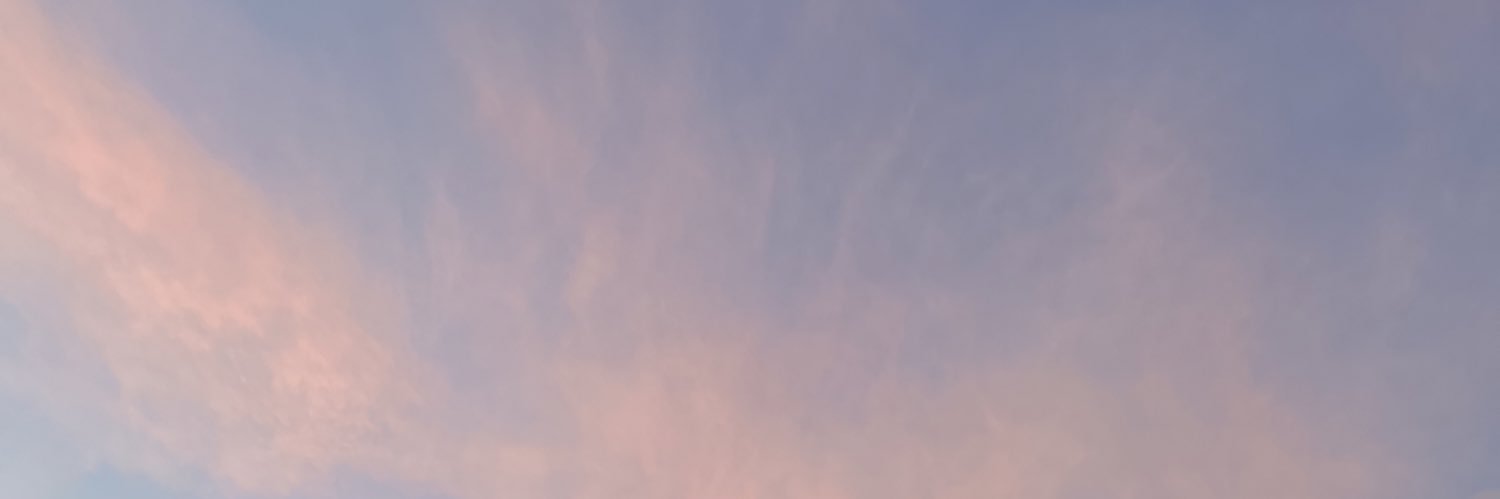 dariafeinman's profile banner image