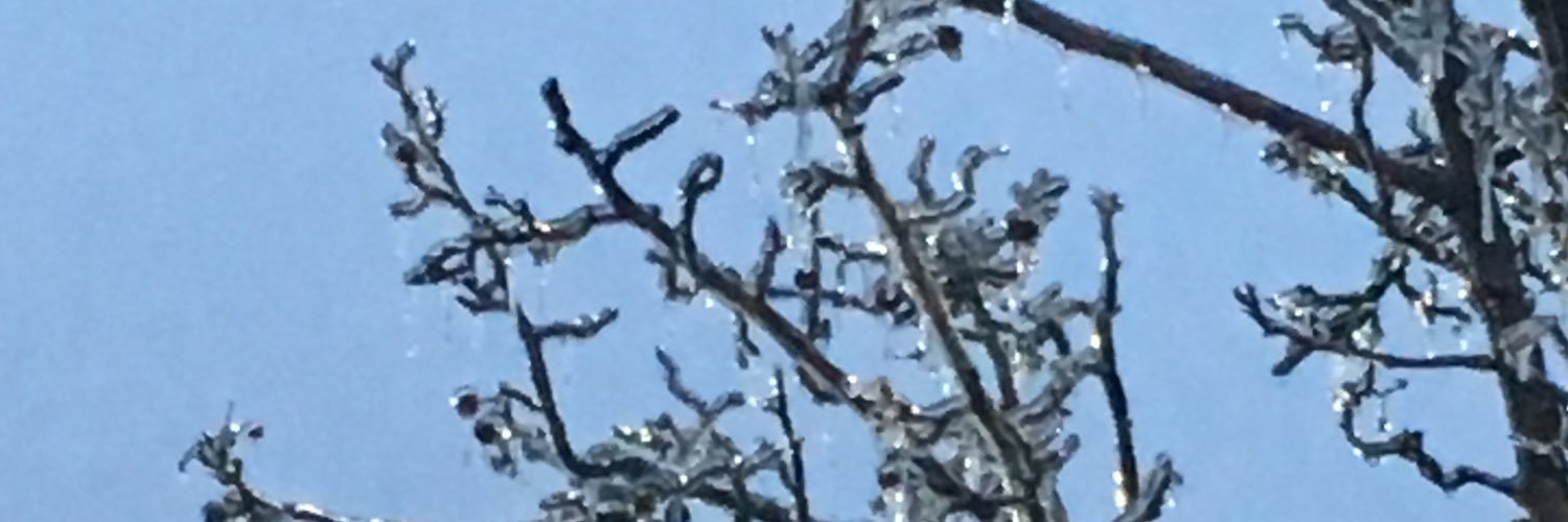 elizabethcworks's profile banner image