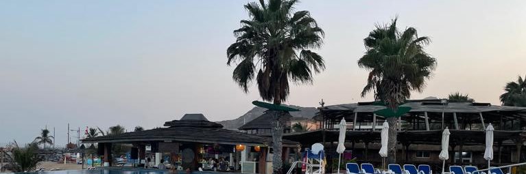 💚🤍❤️ banner