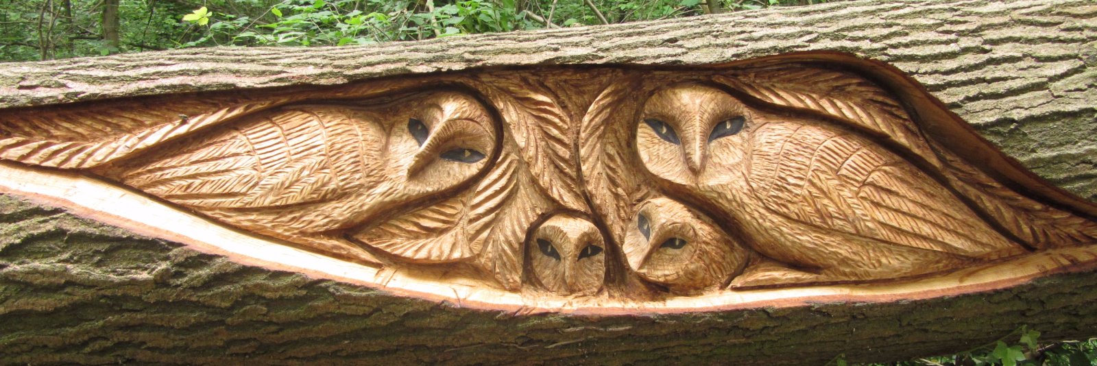 stokeparktrail's profile banner image