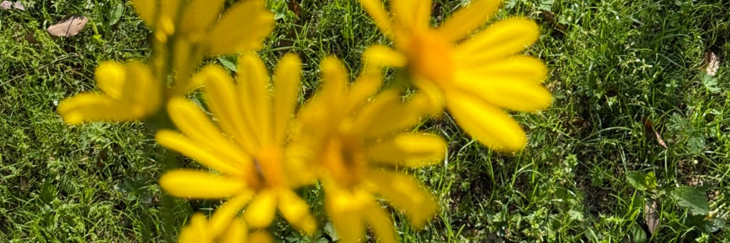Jamy5es's profile banner image