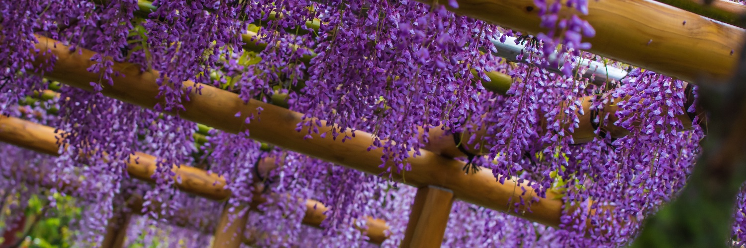 うな(una)K-1 mk-III早く出てほしい… banner