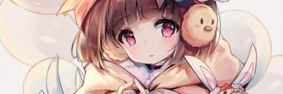 Maria Imaculata banner