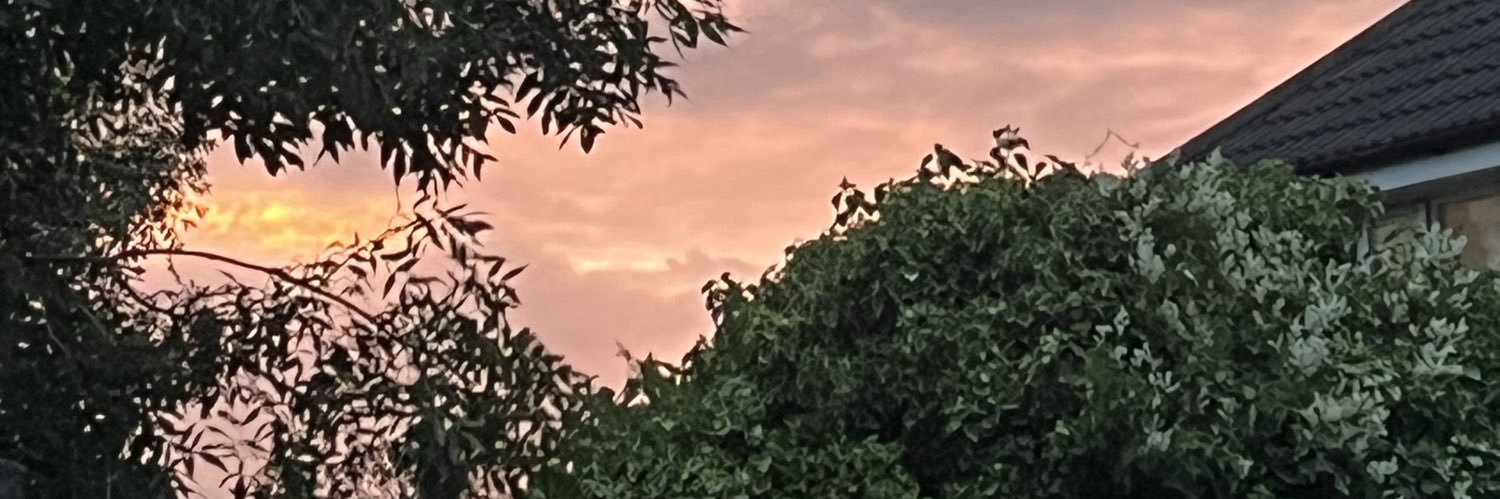 lerocade's profile banner image