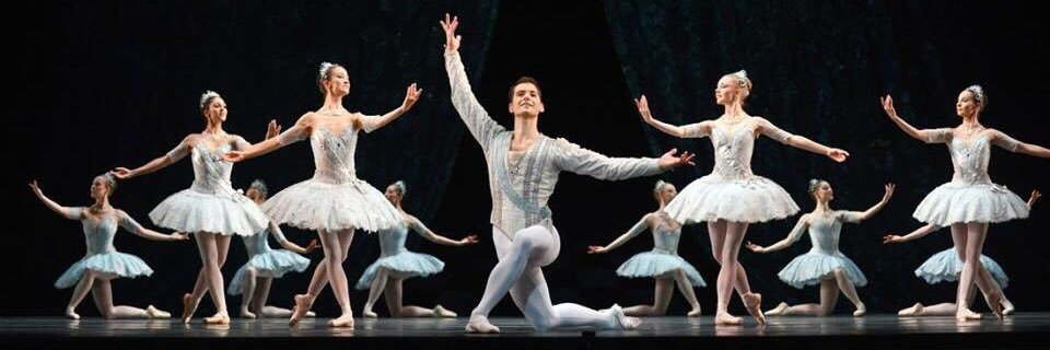 Mathias Dingman banner