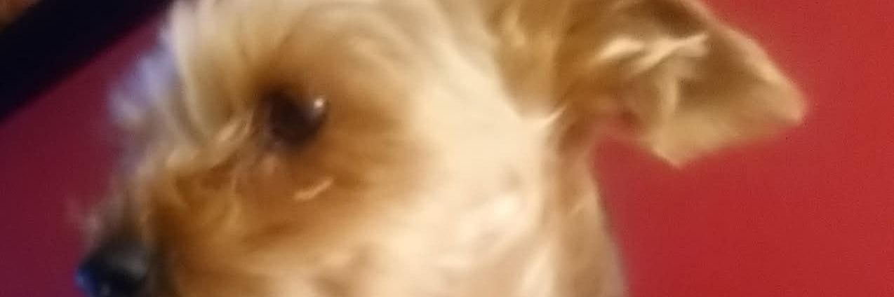 HalfLifeGamerTB's profile banner image