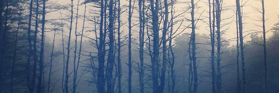 hmdublin's profile banner image