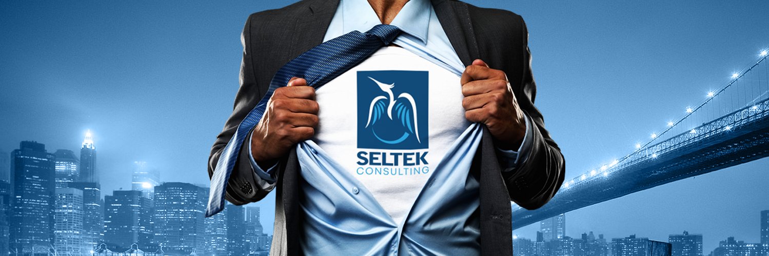 Seltek Consulting banner