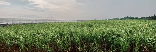 Yangfei_Lab Profile Banner