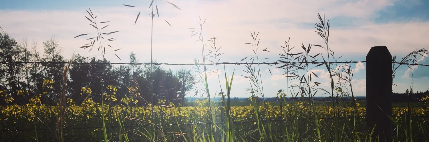 Lacey Elliott (she/her) banner