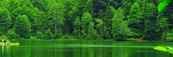 time_tested123 Profile Banner