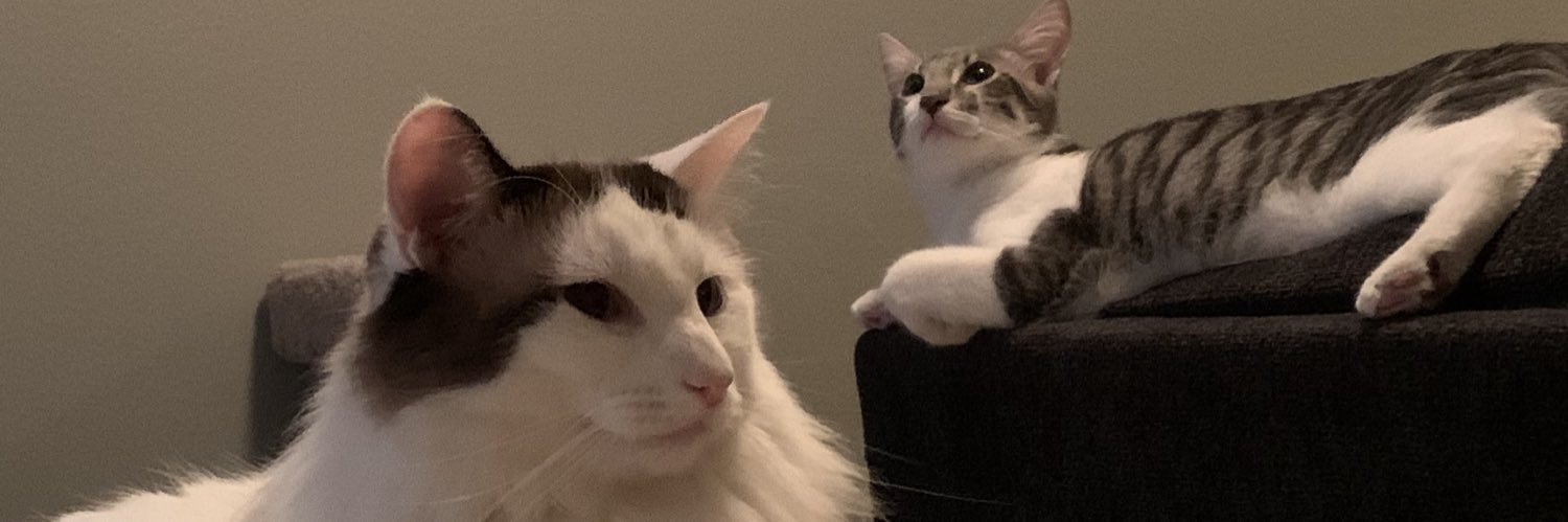 Gabriel Moreno banner