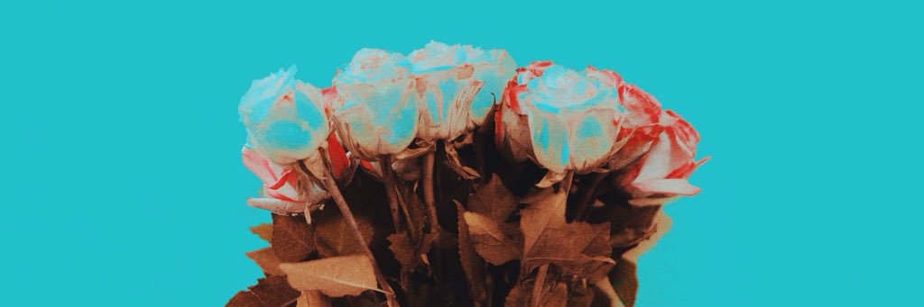 LAHXCALUM's profile banner image