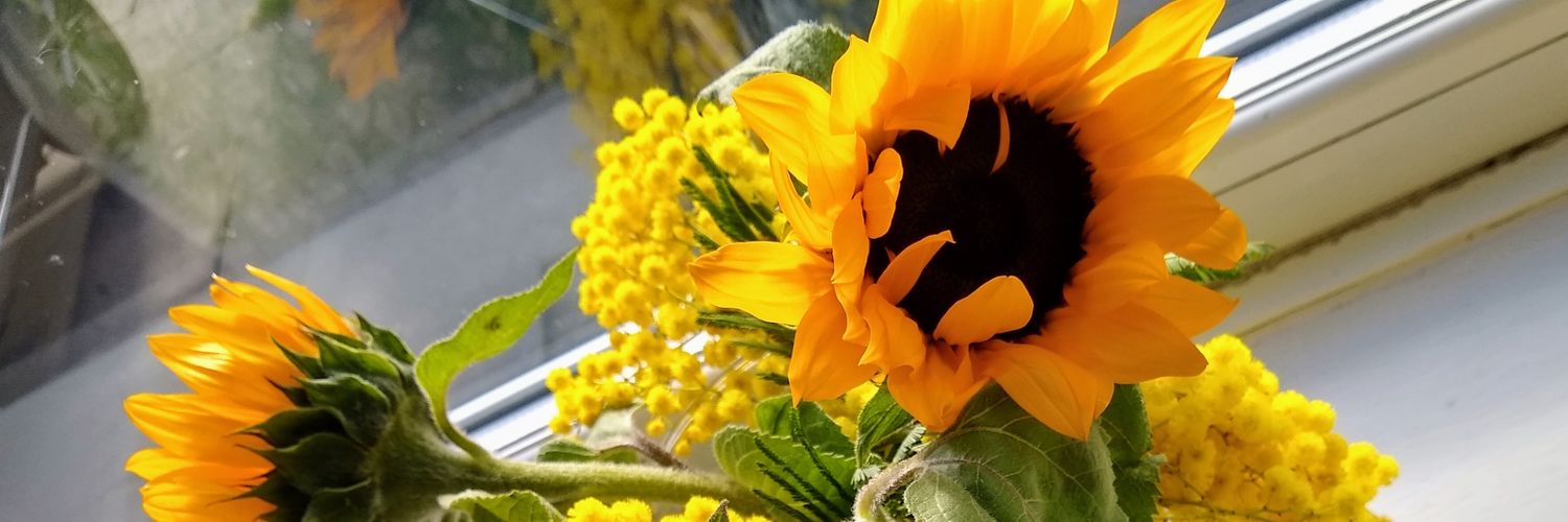 rachel hemingway banner