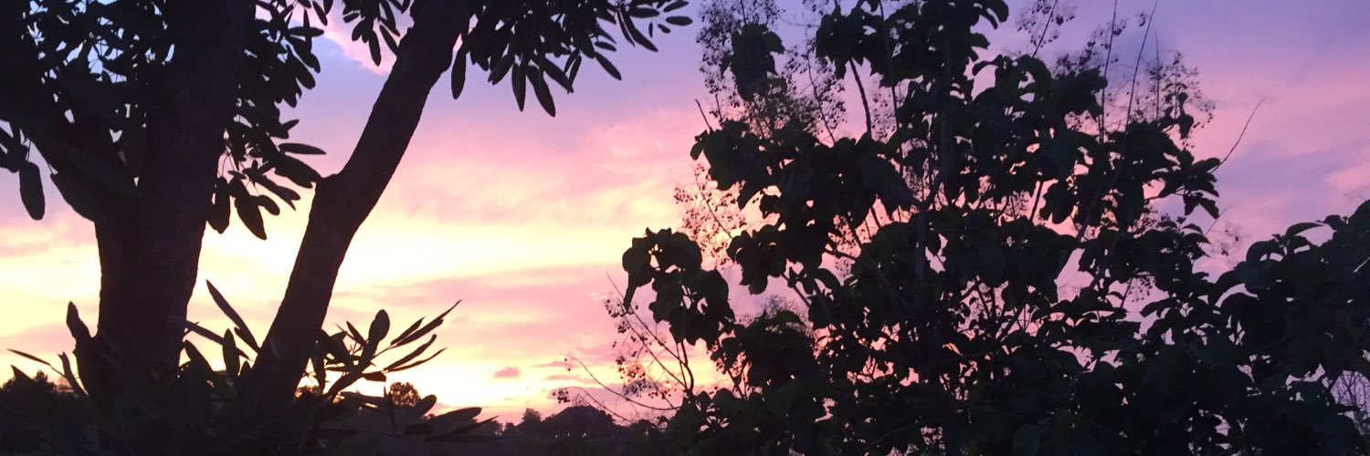 Shan2fly's profile banner image