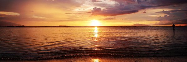 the_scientress Profile Banner