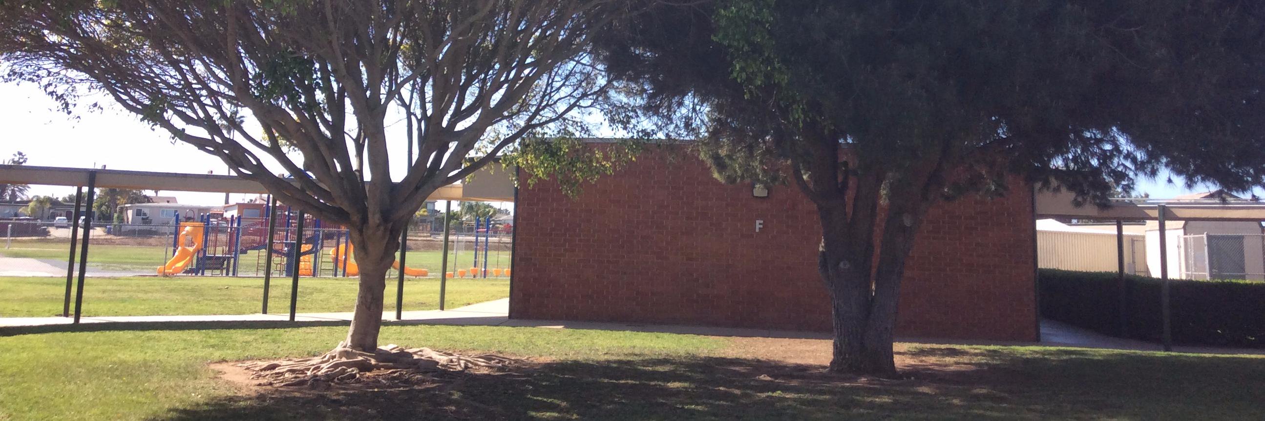 Bayside STEAM Academy banner