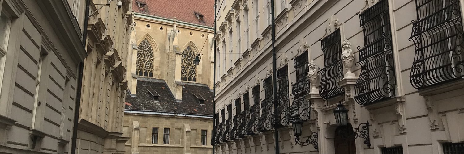 Куртуазна історикиня's banner