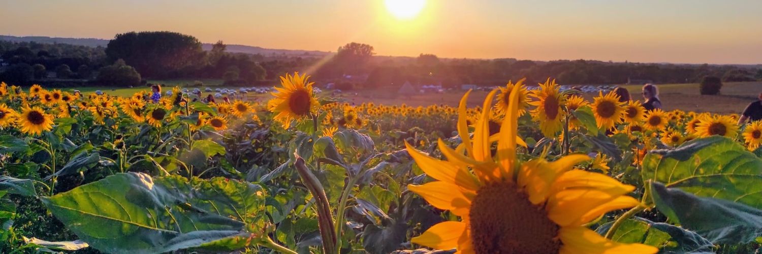meensbeans14's profile banner image