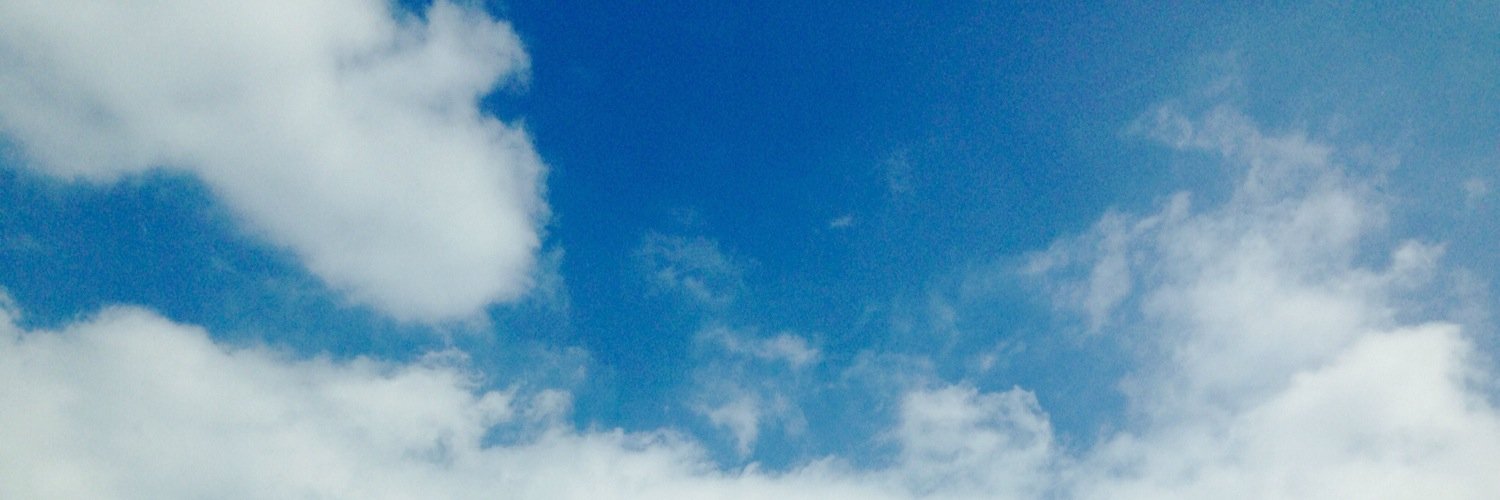 alc1ho's profile banner image
